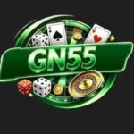 GN55 Game